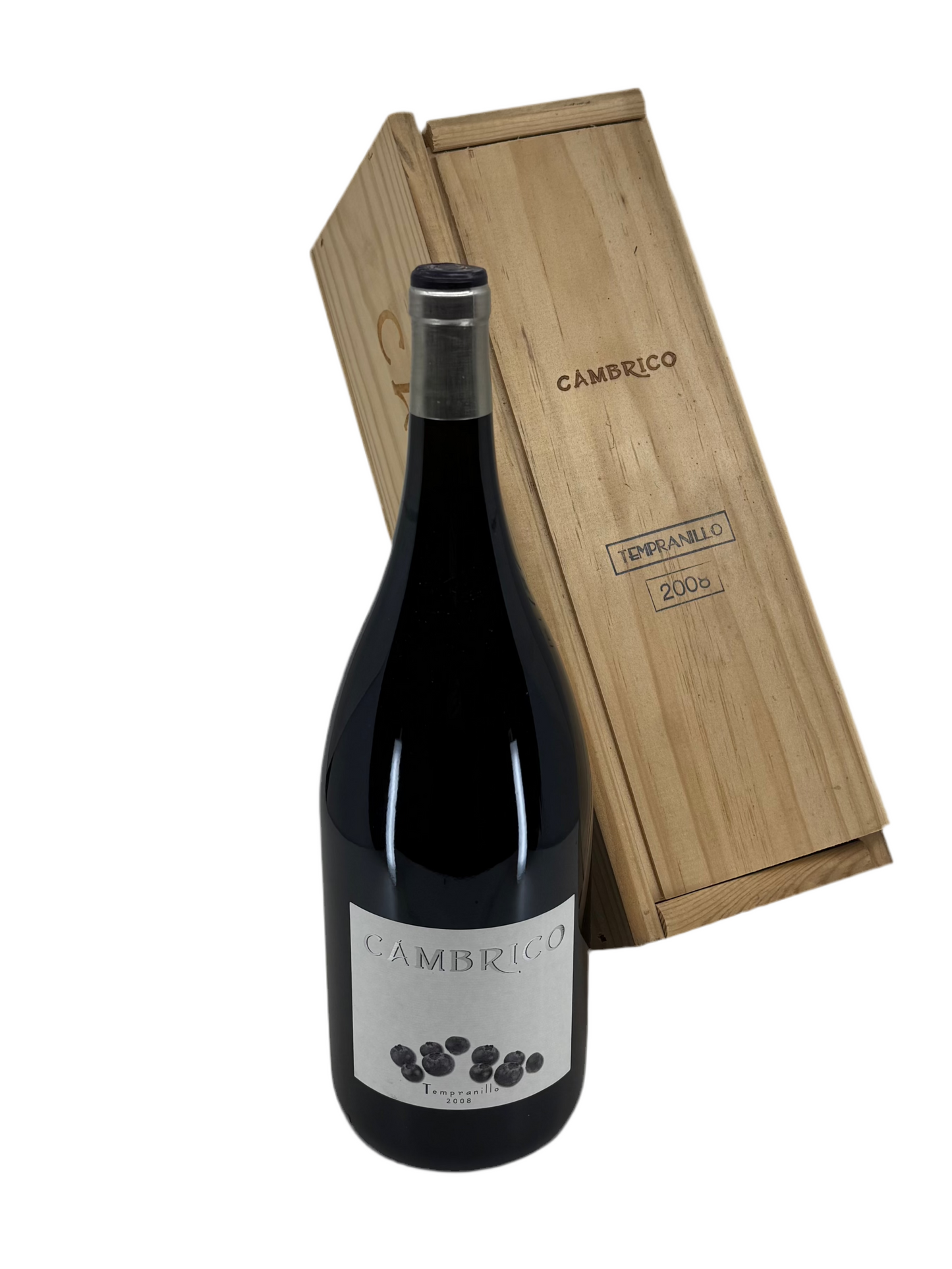 Cambrico - Tempranillo 2008 MAGNUM